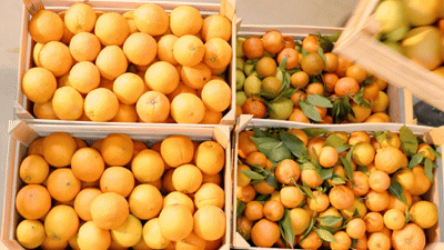 Groupement de commande